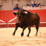 Nimes, viernes, 13 de septiembre de 2019