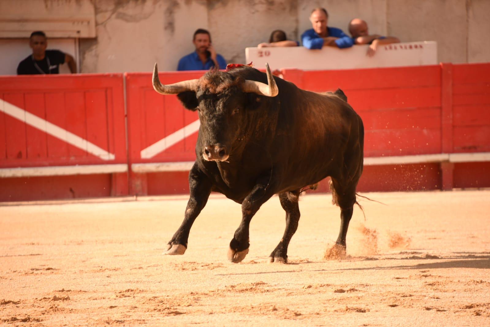 Nimes, viernes, 13 de septiembre de 2019