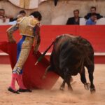 Nimes, viernes, 13 de septiembre de 2019