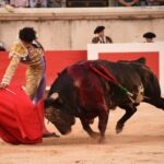 Nimes, viernes, 13 de septiembre de 2019