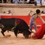 Nimes, viernes, 13 de septiembre de 2019