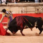 Nimes, viernes, 13 de septiembre de 2019