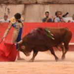 Nimes, viernes, 13 de septiembre de 2019