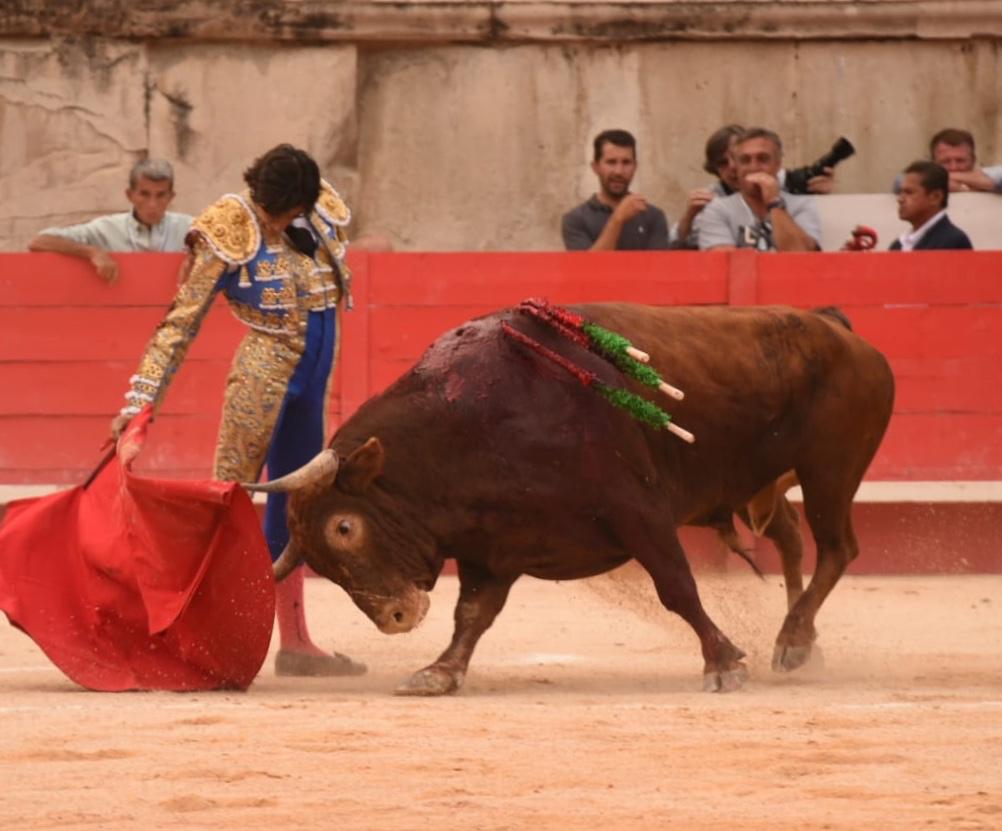 Nimes, viernes, 13 de septiembre de 2019