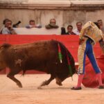 Nimes, viernes, 13 de septiembre de 2019