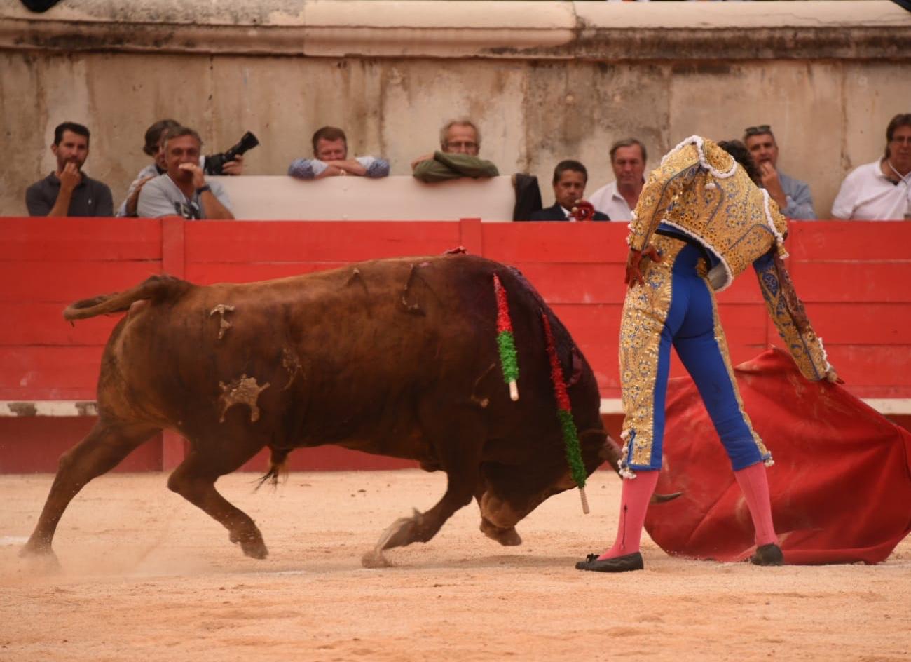 Nimes, viernes, 13 de septiembre de 2019