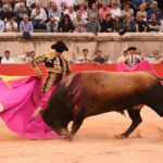 Nimes, viernes, 13 de septiembre de 2019