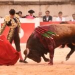 Nimes, viernes, 13 de septiembre de 2019