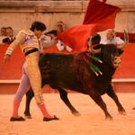 Nimes, viernes, 13 de septiembre de 2019