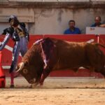Nimes, sábado 14 de septiembre de 2019