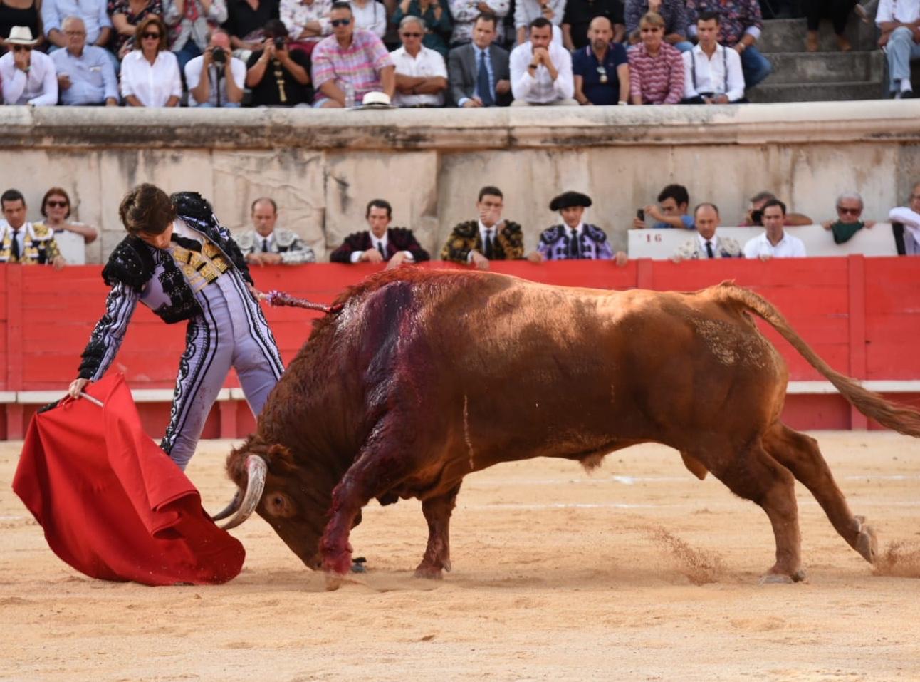 Nimes, sábado 14 de septiembre de 2019