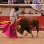 Nimes, sábado 14 de septiembre de 2019