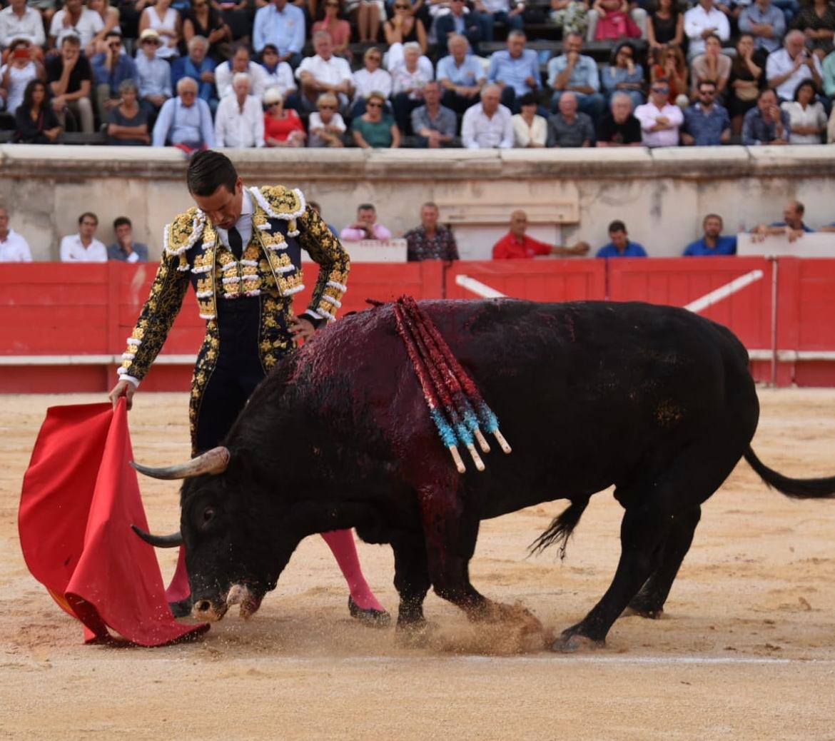 Nimes, sábado 14 de septiembre de 2019