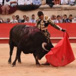 Nimes, sábado 14 de septiembre de 2019