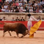 Nimes, sábado 14 de septiembre de 2019