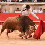 Nimes, sábado 14 de septiembre de 2019