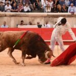 Nimes, sábado 14 de septiembre de 2019
