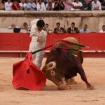 Nimes, sábado 14 de septiembre de 2019