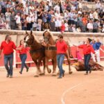 Nimes, sábado 14 de septiembre de 2019