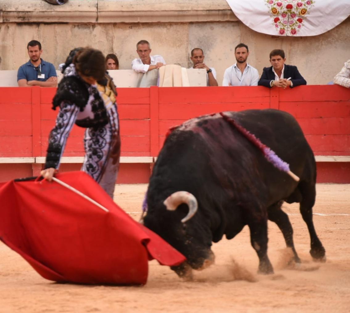 Nimes, sábado 14 de septiembre de 2019