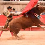 Nimes, sábado 14 de septiembre de 2019