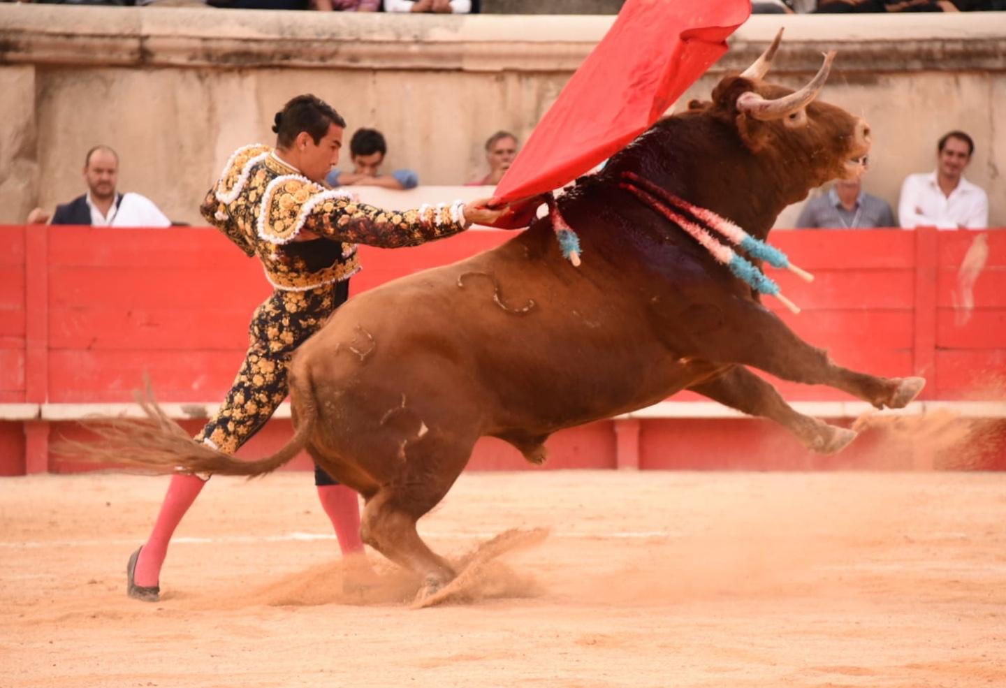 Nimes, sábado 14 de septiembre de 2019