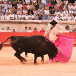 Nimes, sábado 14 de septiembre de 2019