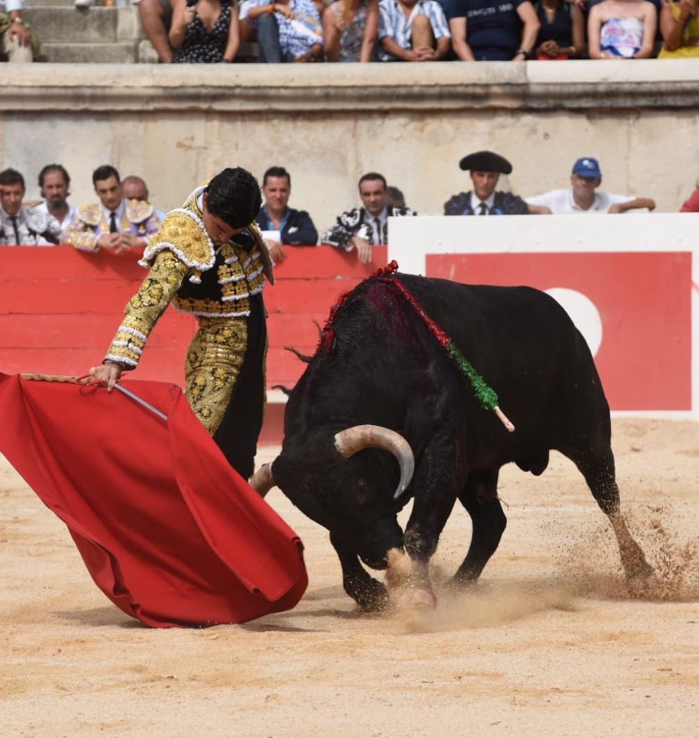 Nimes, domingo 15 de septiembre de 2019. Corrida matinal