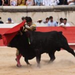 Nimes, domingo 15 de septiembre de 2019. Corrida matinal