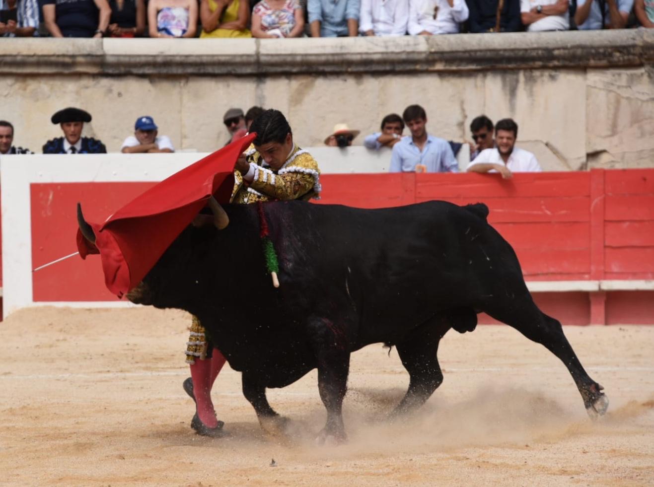 Nimes, domingo 15 de septiembre de 2019. Corrida matinal