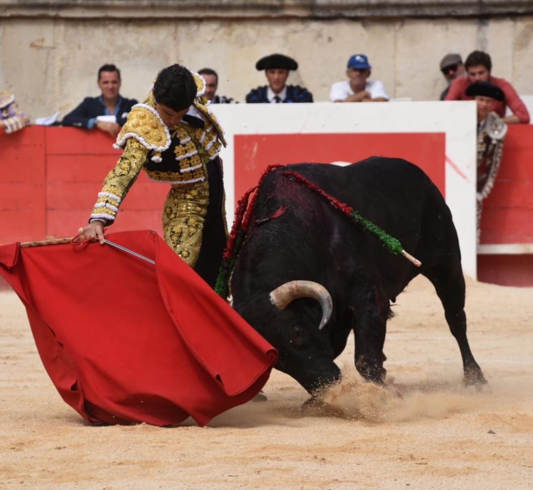 Nimes, domingo 15 de septiembre de 2019. Corrida matinal