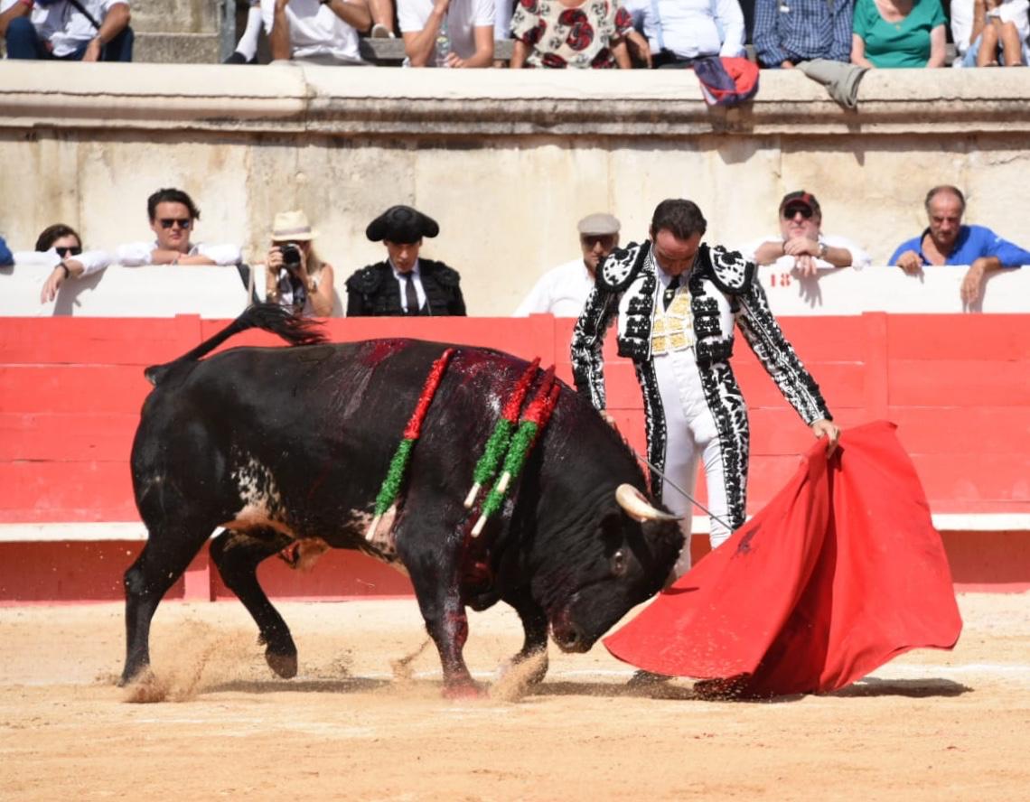 Nimes, domingo 15 de septiembre de 2019. Corrida matinal
