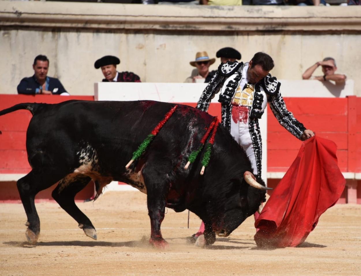 Nimes, domingo 15 de septiembre de 2019. Corrida matinal