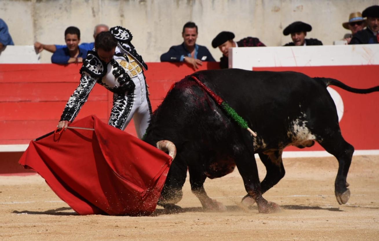 Nimes, domingo 15 de septiembre de 2019. Corrida matinal