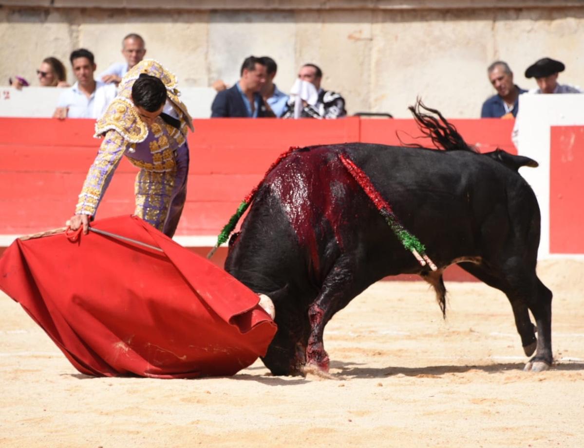 Nimes, domingo 15 de septiembre de 2019. Corrida matinal