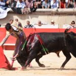 Nimes, domingo 15 de septiembre de 2019. Corrida matinal