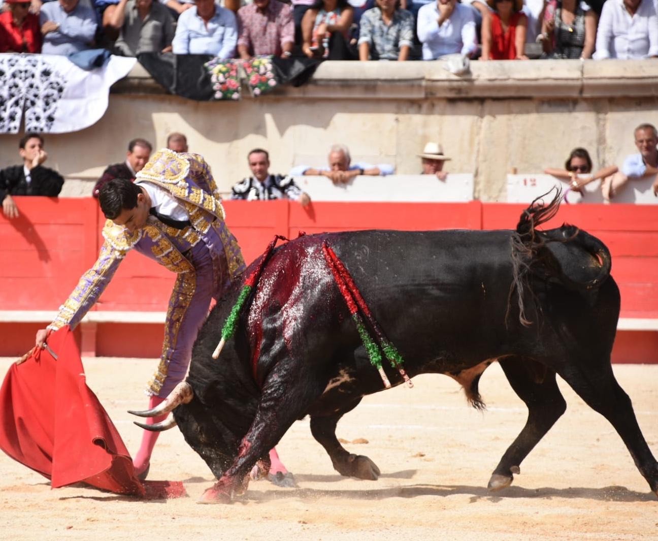 Nimes, domingo 15 de septiembre de 2019. Corrida matinal