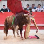 Nimes, 15 de septiembre de 2019.