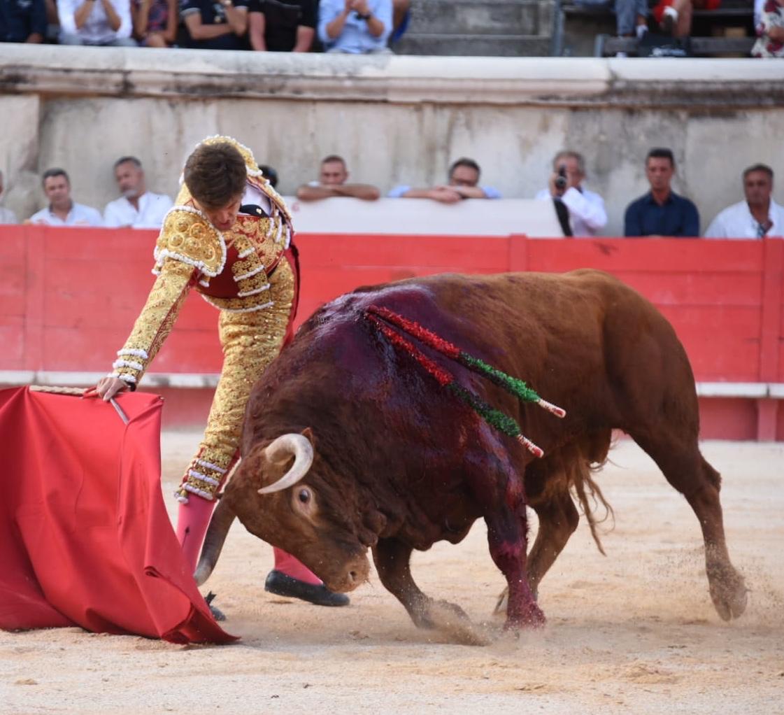 Nimes, 15 de septiembre de 2019.