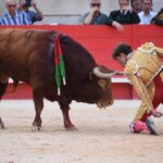 Nimes, 15 de septiembre de 2019.