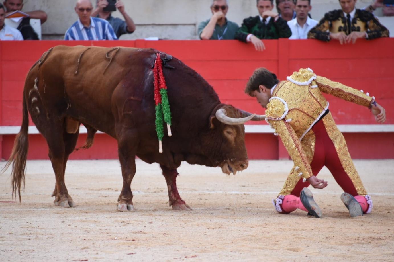 Nimes, 15 de septiembre de 2019.