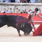 Nimes, 15 de septiembre de 2019.