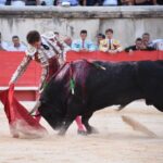 Nimes, 15 de septiembre de 2019.