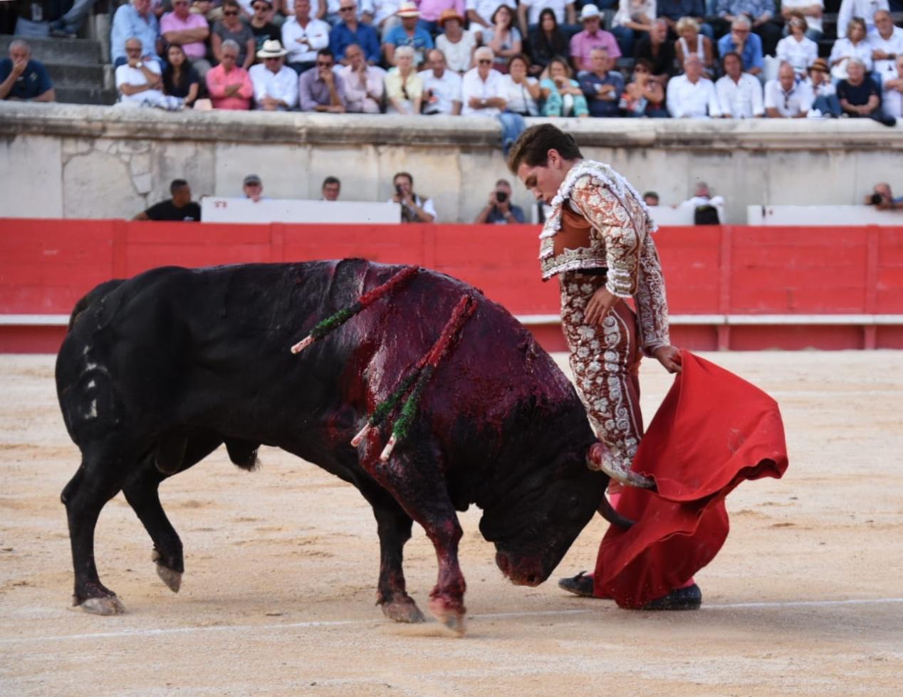 Nimes, 15 de septiembre de 2019.