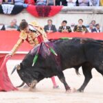 Nimes, 15 de septiembre de 2019.