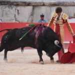 Nimes, 15 de septiembre de 2019.