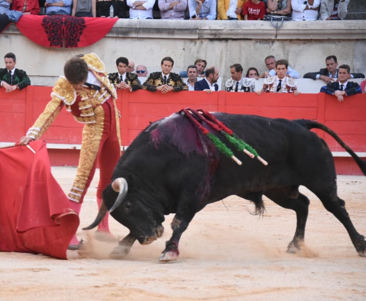 Nimes, 15 de septiembre de 2019.