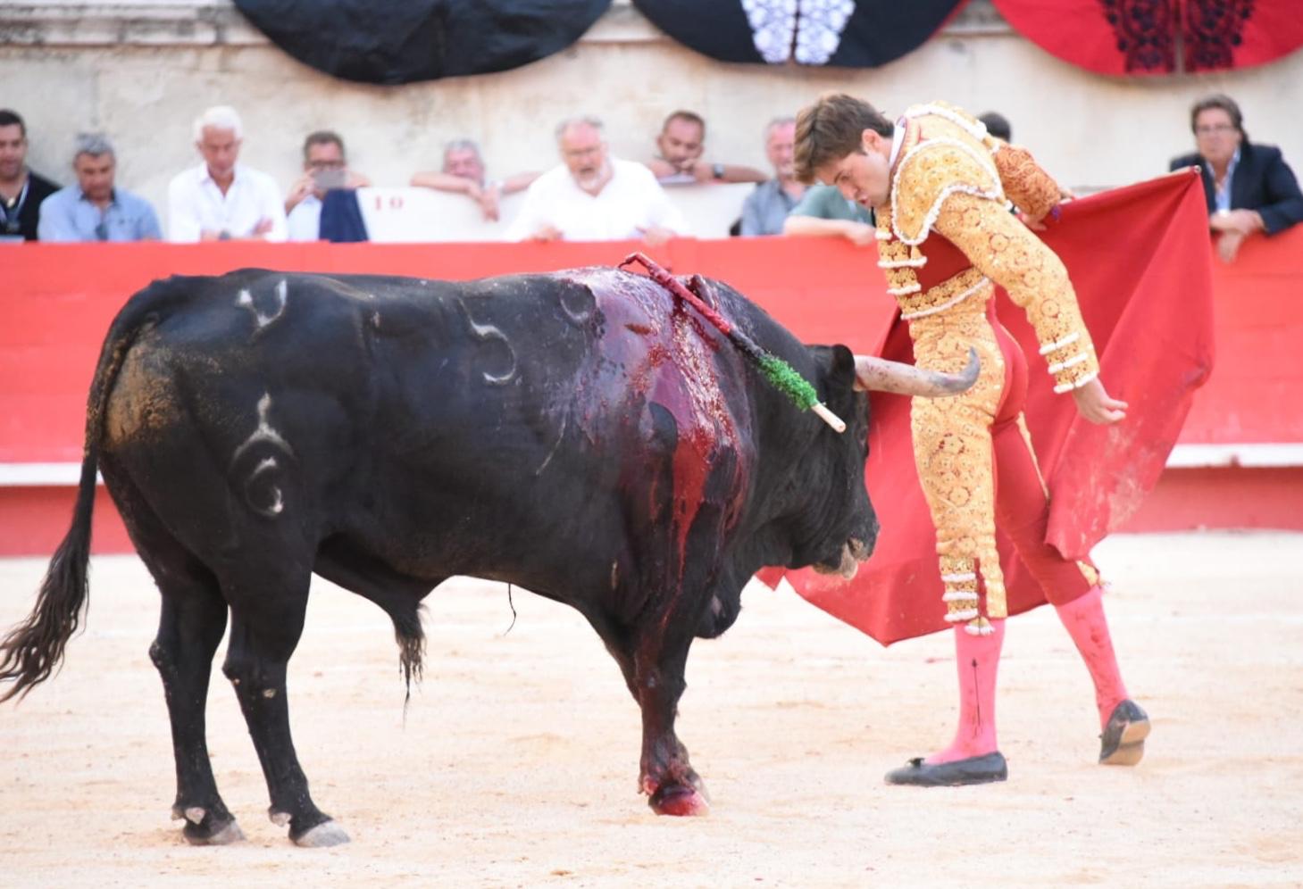 Nimes, 15 de septiembre de 2019.