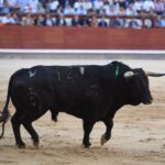 Madrid, viernes 27 de septiembre de 2019