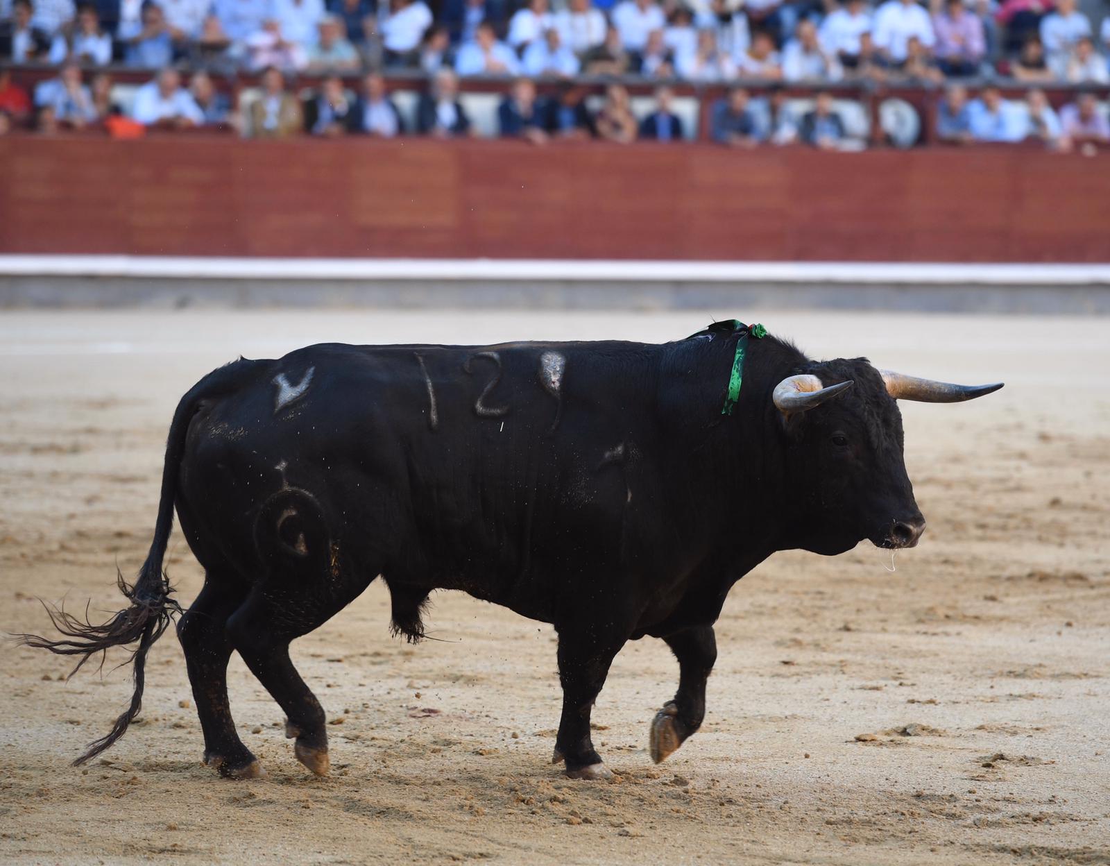 Madrid, viernes 27 de septiembre de 2019